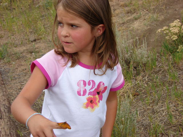At Calcite Springs overlook, Conli found a butterfly.