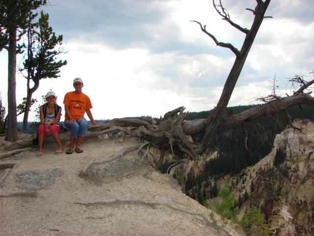 Judy and Easton found a huge tree that extended over the canyon.