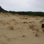 Ellie loves the sand dunes!