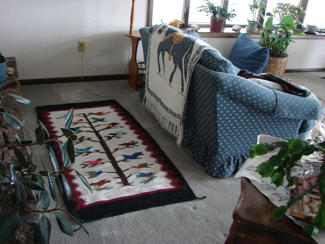 Floor rug from Mexico, throw from Mexico, gift from Danny Bronson.