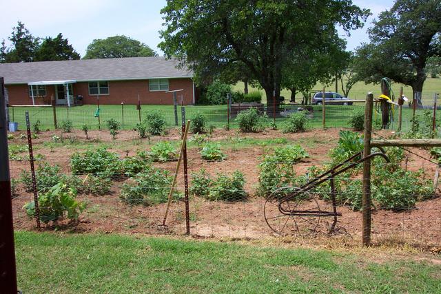 Here's a view of the garden and the back yard of the house.