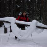 We found this really cool snow formation.