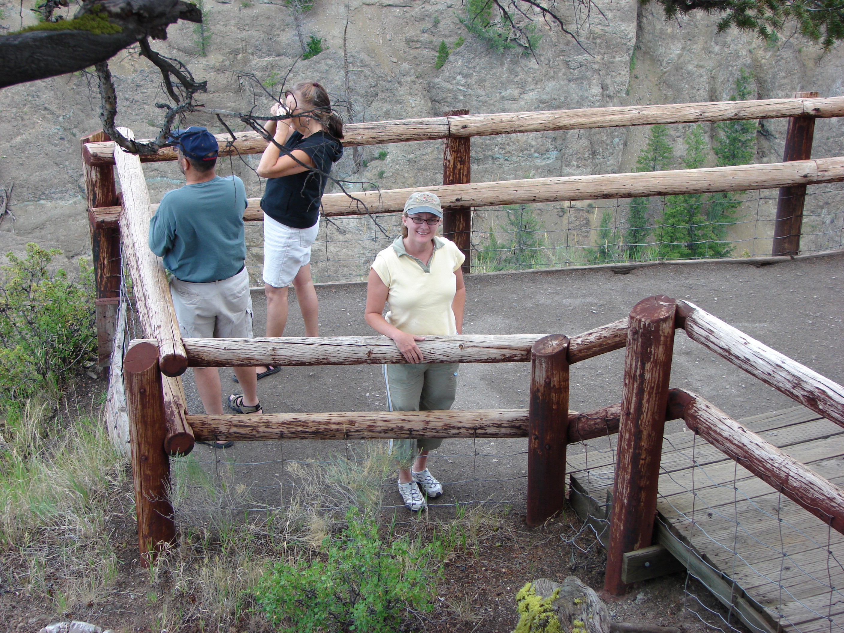 Peggy was looking at a huge, twisted tree root, but it's not in the photo.