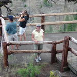 Peggy was looking at a huge, twisted tree root, but it's not in the photo.