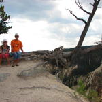 Judy and Easton found a huge tree that extended over the canyon.