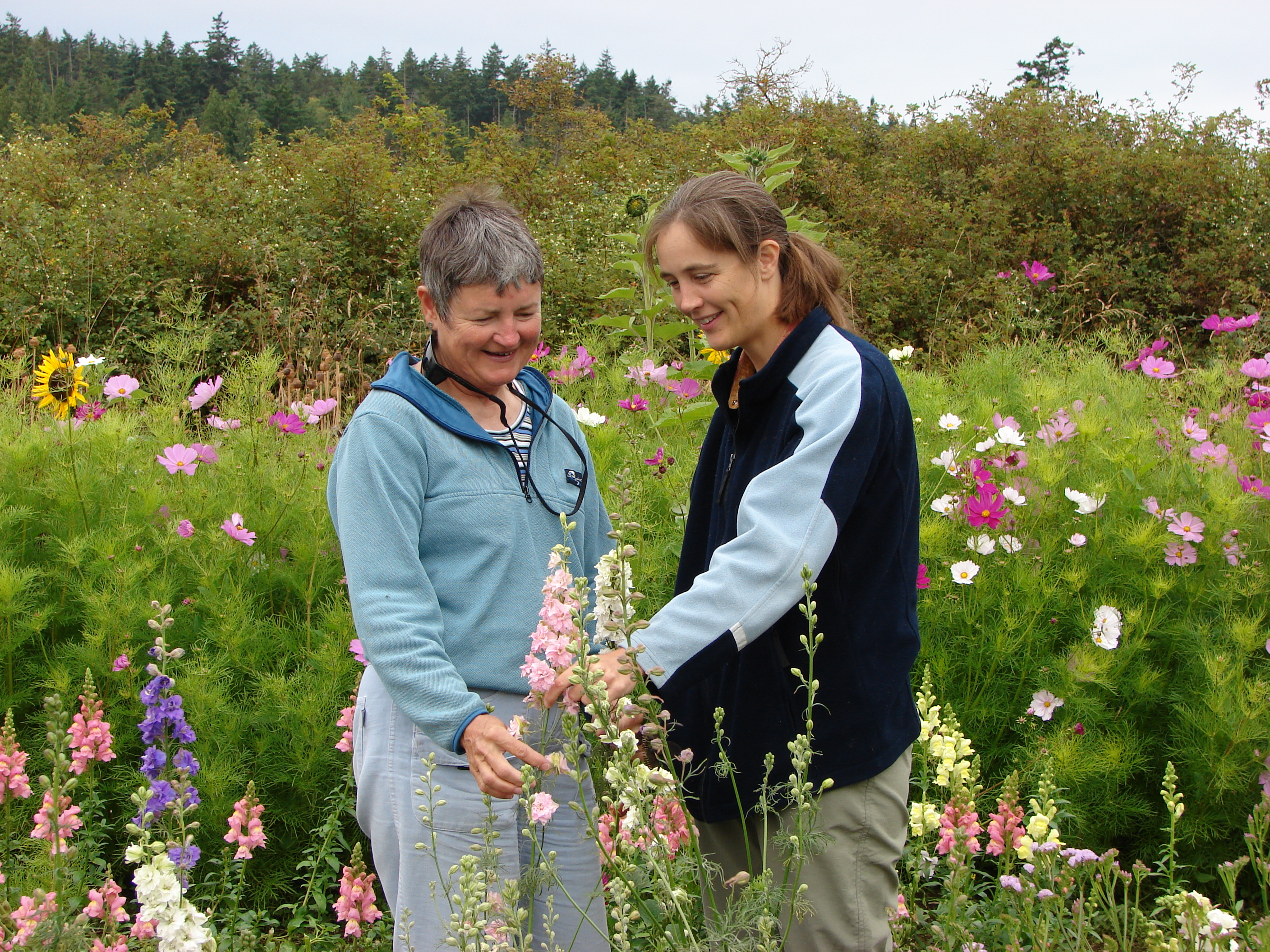 We picked flowers for the decorations.