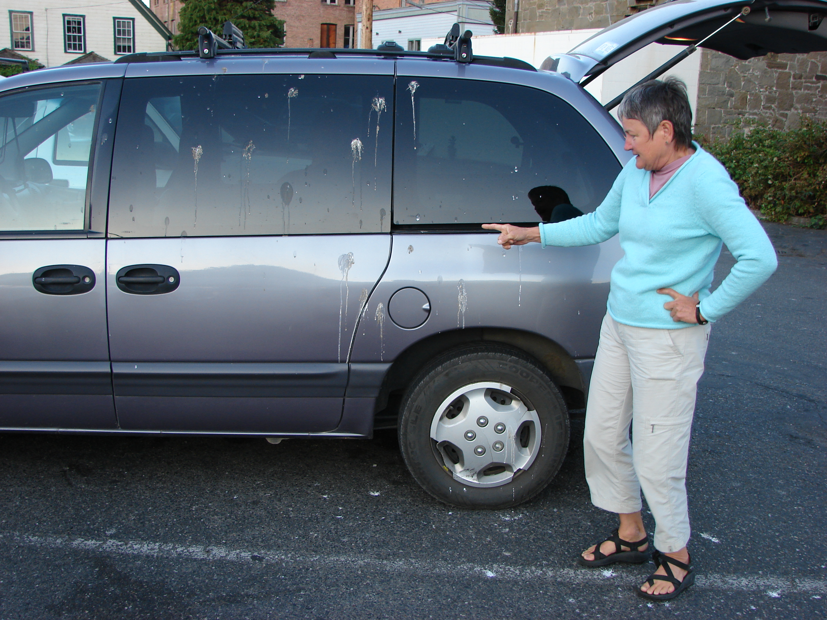 After dinner, I discover that the sea gulls have visited my car.