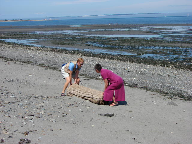 LW and I spotted some driftwood to take back to Billings, but it was too heavy.