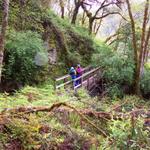 We did a short hike to see a waterfall.