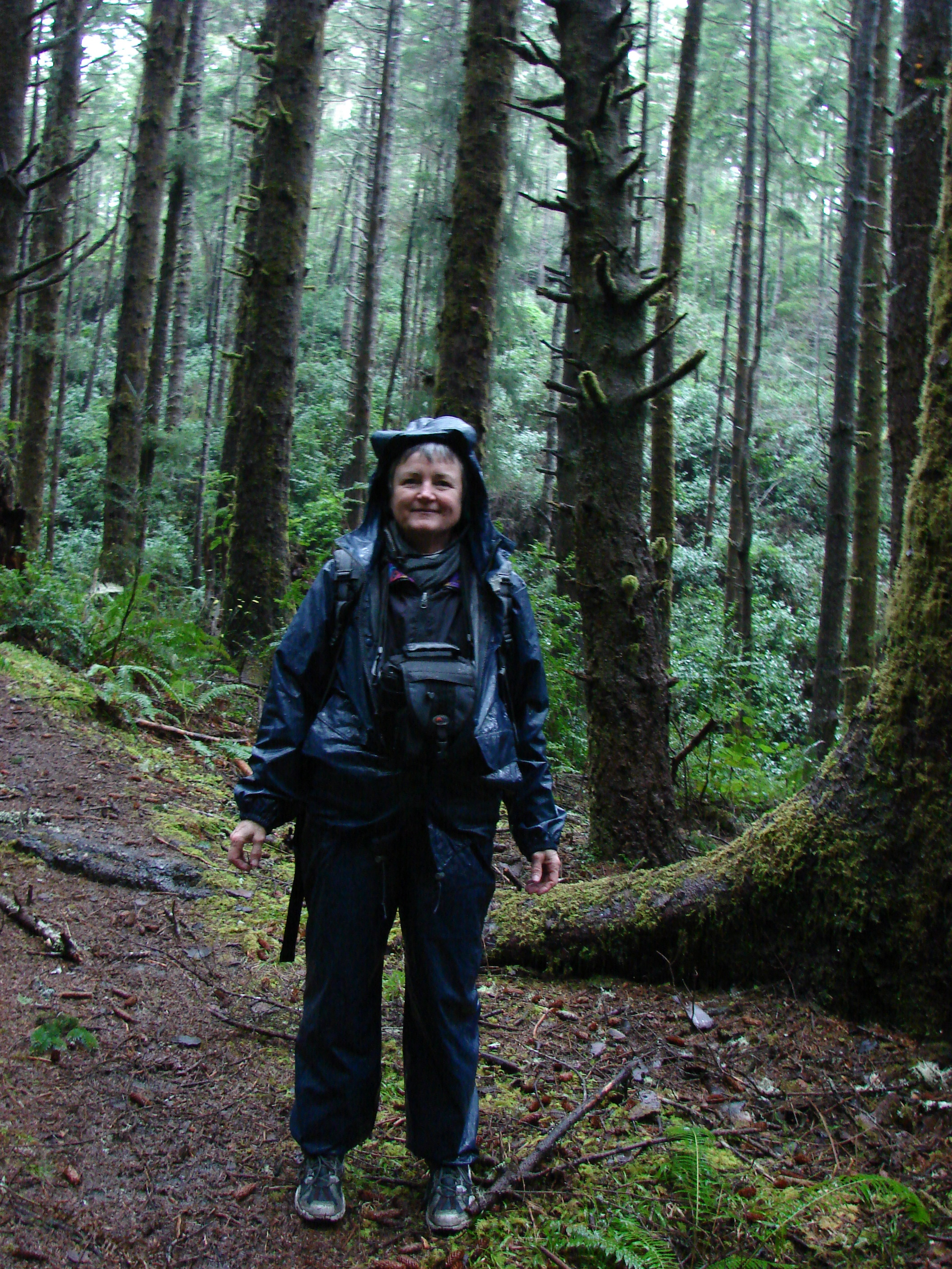 We start out in the forest in the rain. 