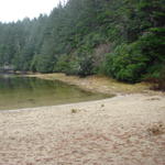 A look at the sandy beach at Three-Mile Lake.
