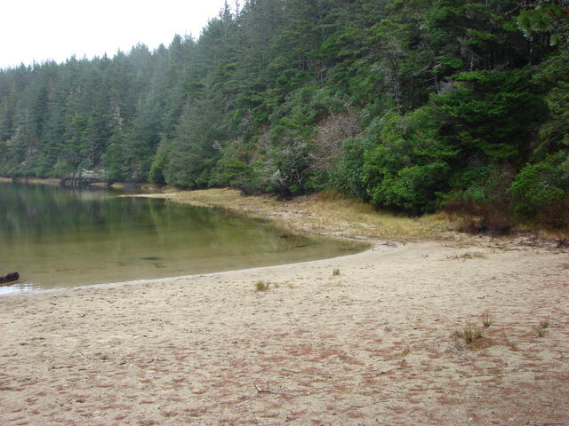 A look at the sandy beach at Three-Mile Lake.