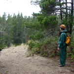 Now we're leaving the forest and entering the transition area.