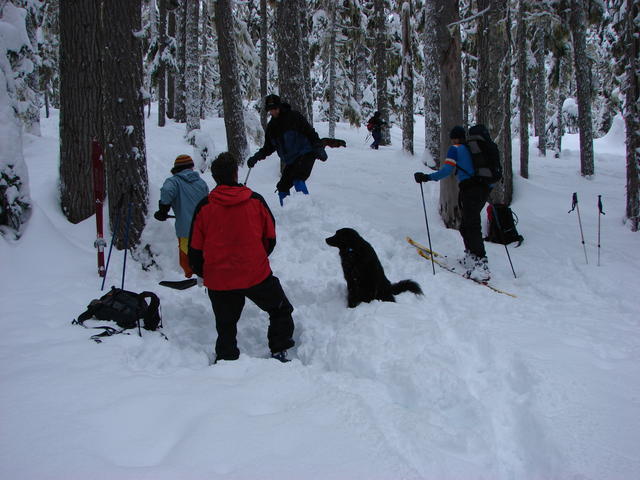 Ben, Lindsay and Tom made a ski jump.