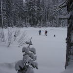 Sean, Tom and Tom's dogs went out on the lake.