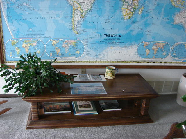 Table bought in Michigan, vase from Sue and Alan, Foster book from LW, Kahlo book from Kim, pot from Janet and Julie in Roscoe.