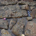 Kim loves these, especially this snake.  Make sure she has some of them.