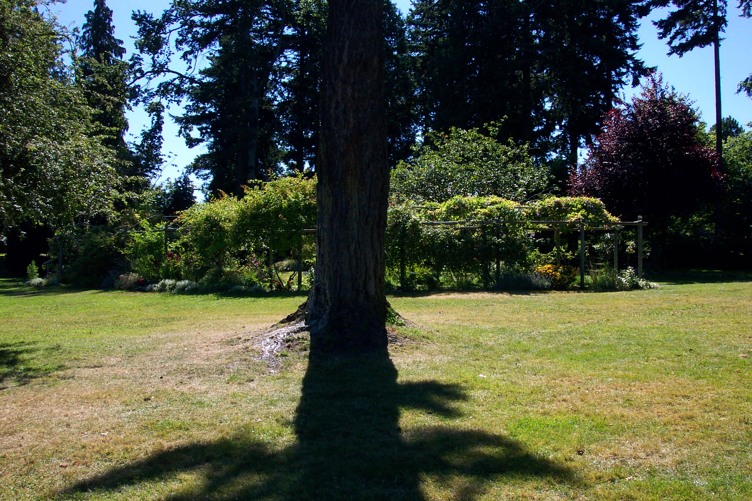 Their guests will sit here, facing the gazebo.  Lindsay and Ben will walk through the archway in the background.