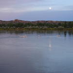 DSC03916.JPG