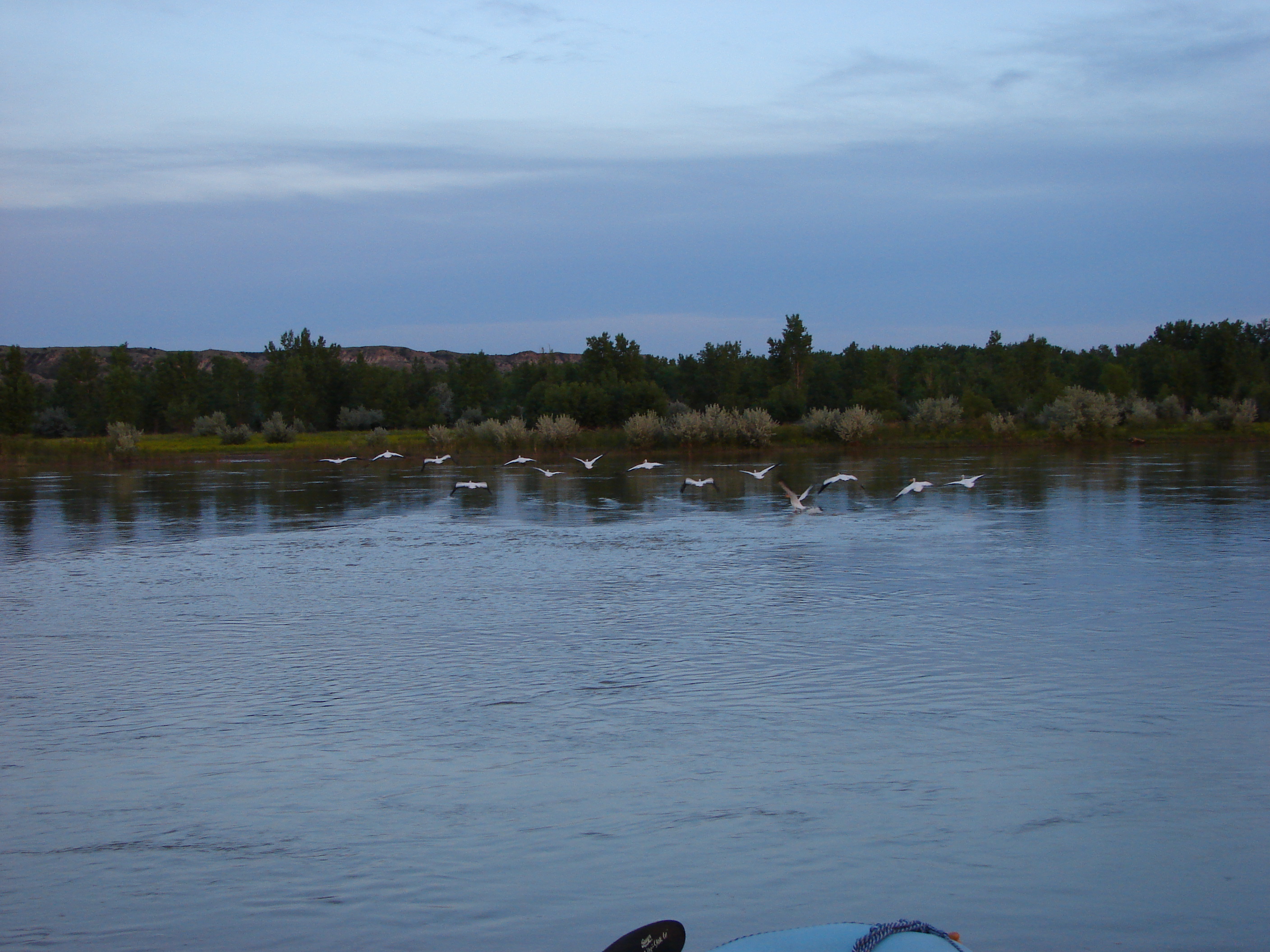DSC03918.JPG