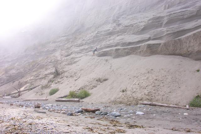 Ben climbed up the sand cliff.