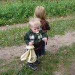 We found an entire patch of dandelions!