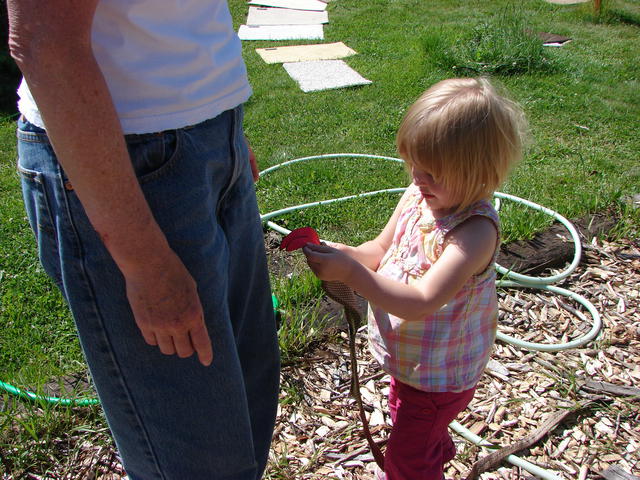 June shows us the snake she made in the toddlers' class.