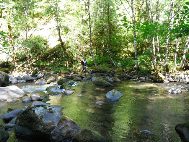 DSCF1685