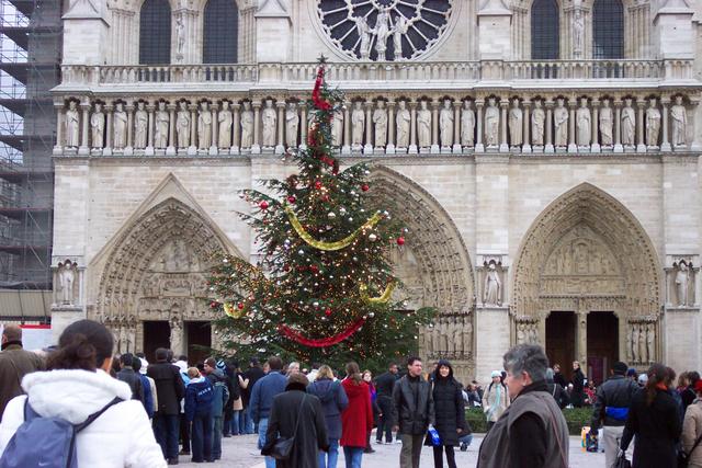 They had a Christmas tree in front of the cathedral.