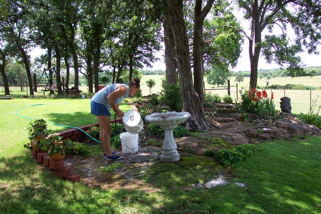 Here's my sister Donna working in her flower garden.
