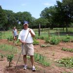 And here's Farmer Ron, working in his vegetable garden.