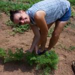 Donna is showing us how well the carrots are doing in June.