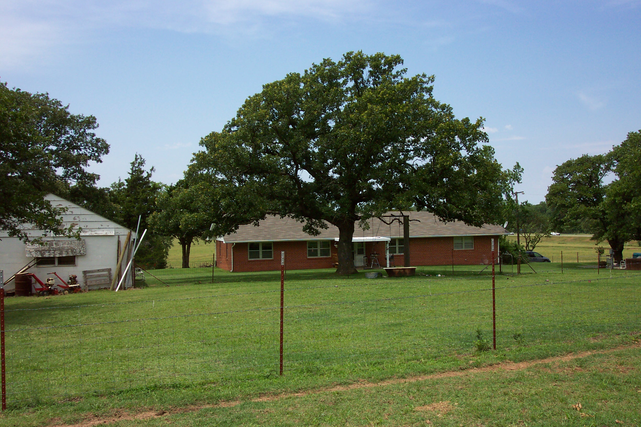 There are some awesome oak trees around the farm.