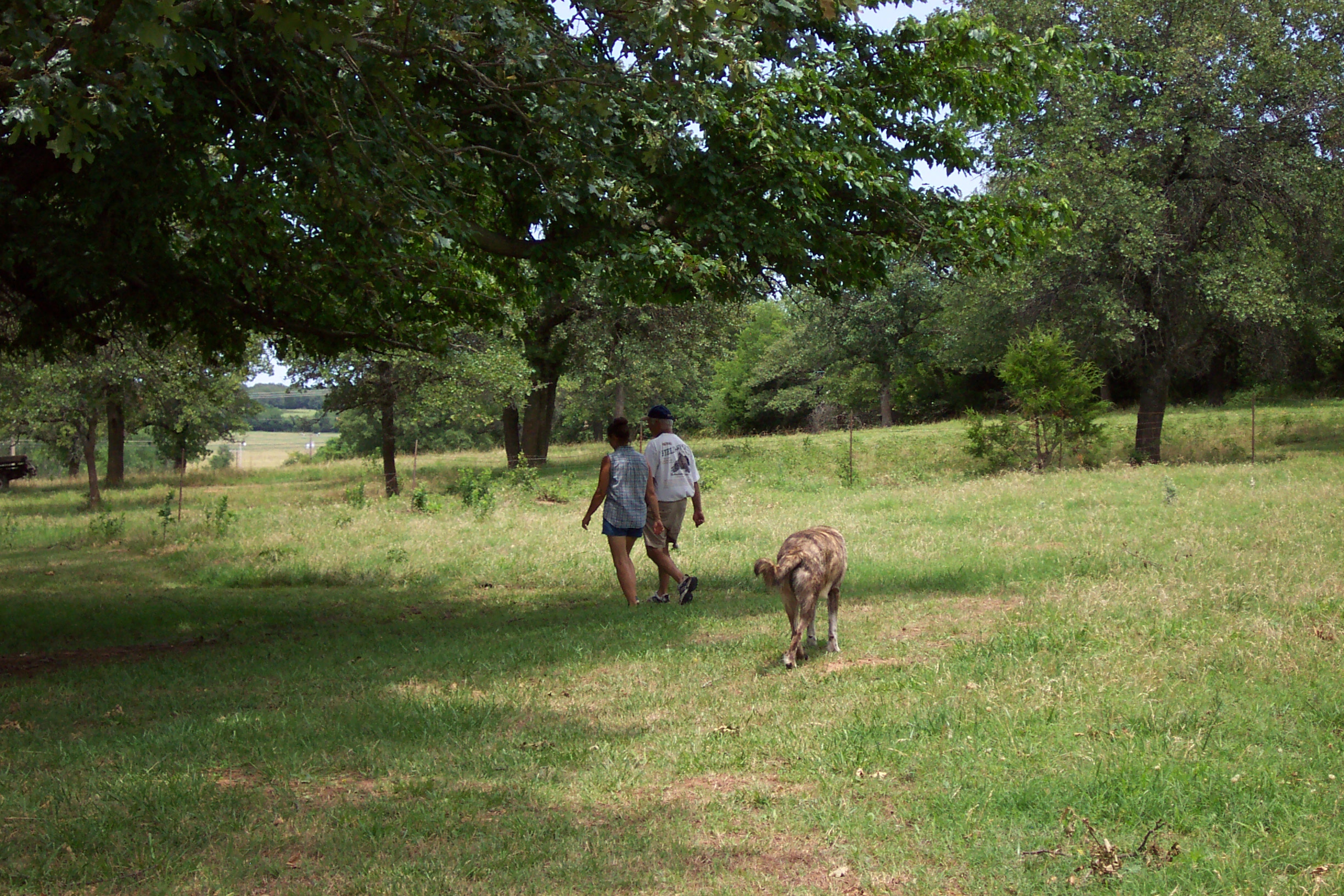 Donna, Ron and Killer Fred like to walk along the walking path every evening.  If you walk around 5 times, that's 2 miles.