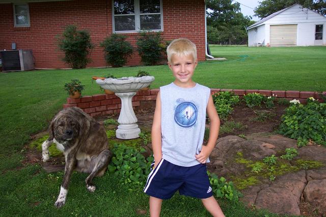 The little neighbor boy, the blond one, stops by now and then.