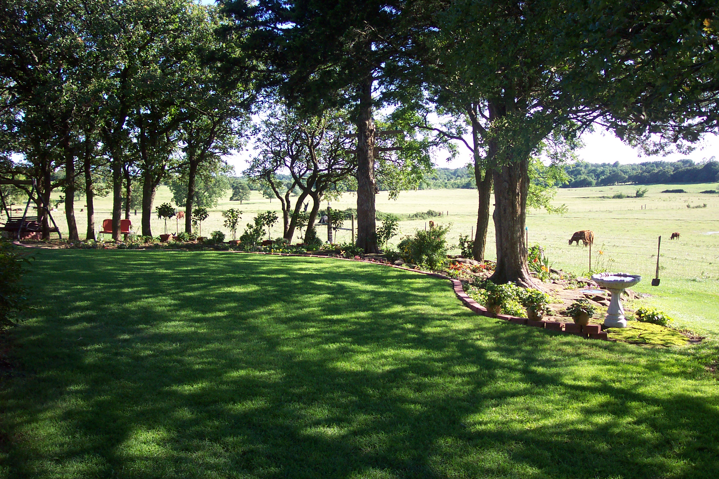 The garden looks great in the shadows.