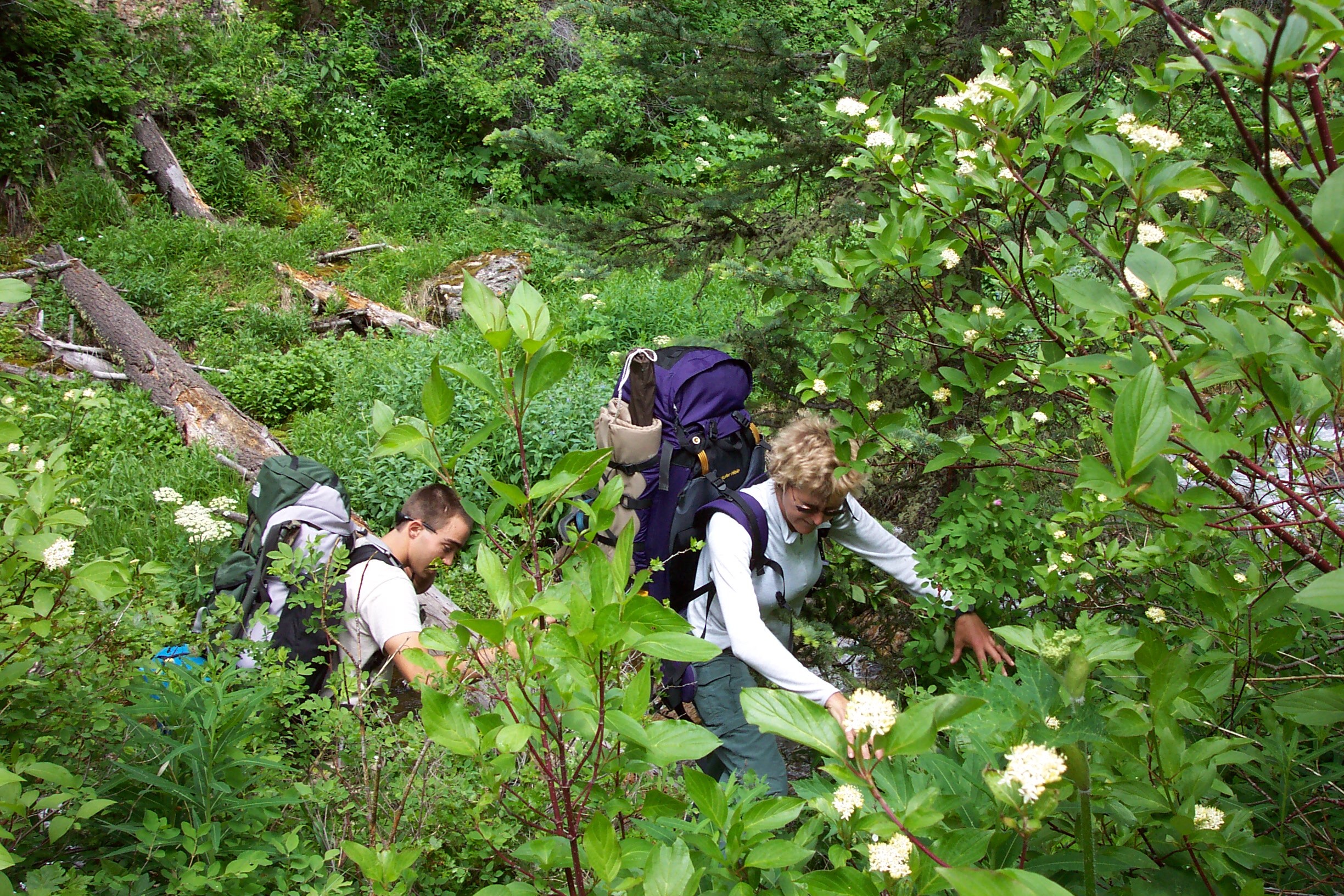 We hiked off-trail through bushes, trees and brambles.  We had to hike up steep trails and make river crossings.