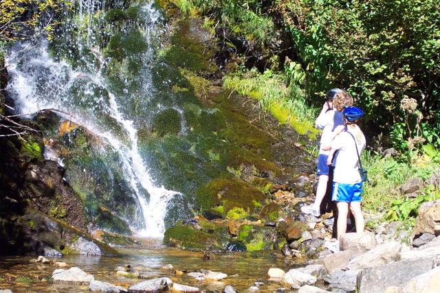 It was a hot day and the water looked inviting.