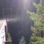 The trestles were beautiful in the afternoon sun.