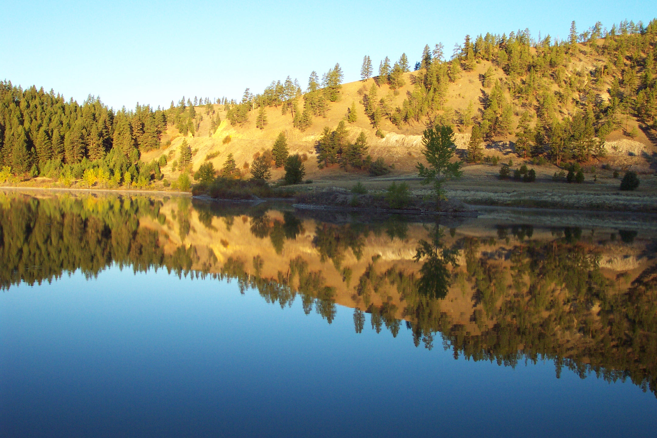 The pond was beautiful in the early morning sunlight.