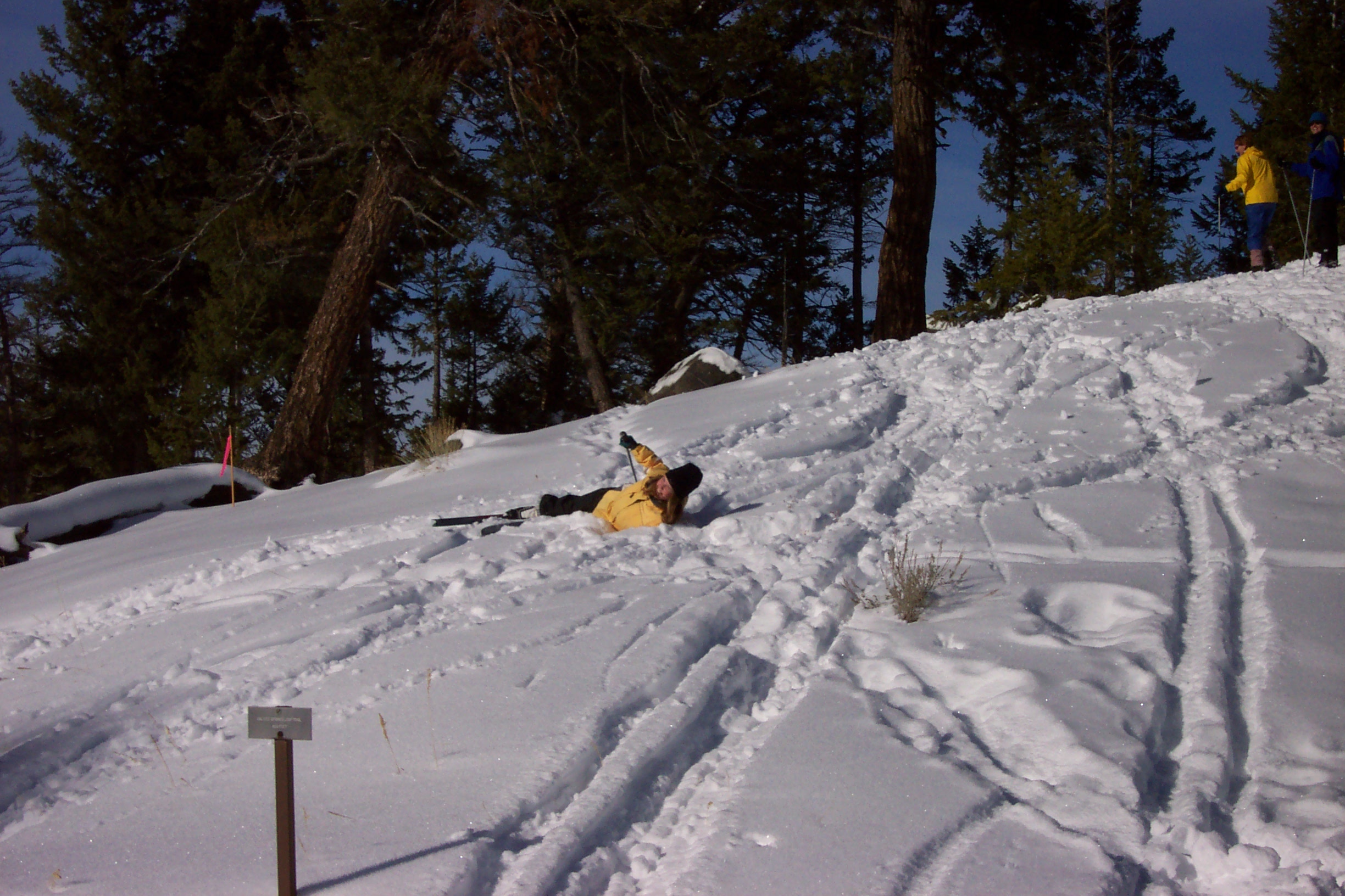 Kelsiann has already practiced climbing uphill and skiing down.  Now she's working on her falling technique.