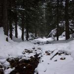 The cross-country skiers took a little hike to a waterfall before we started skiing.