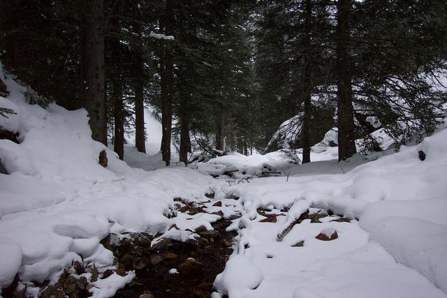 The cross-country skiers took a little hike to a waterfall before we started skiing.