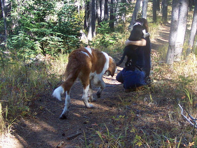 These dogs acted like they were thrilled to see Mal.