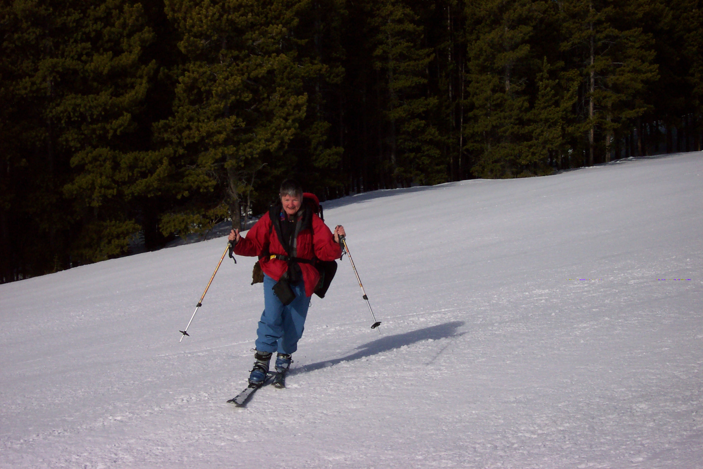 Wow!  What great technique!  Who is that awesome skier?