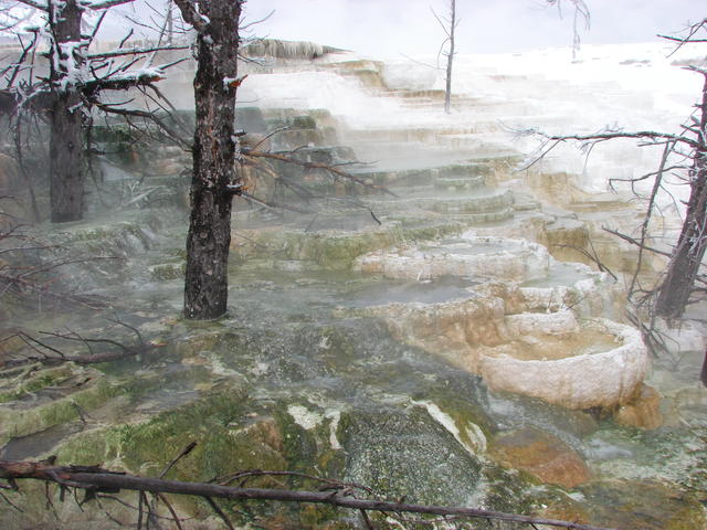 DSC01352.JPG